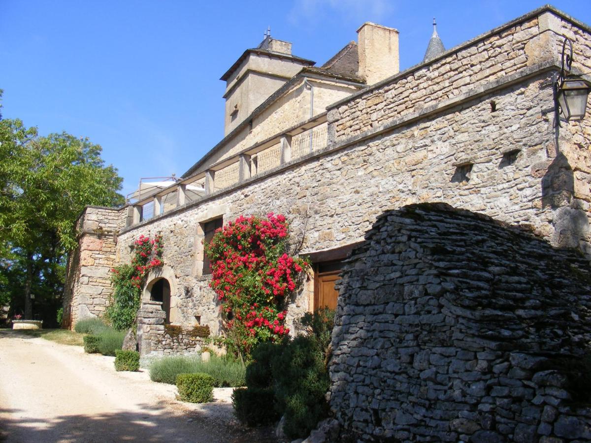 Chateau De Laumiere Promilhanes Экстерьер фото